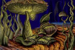 Under the mushroom Picture